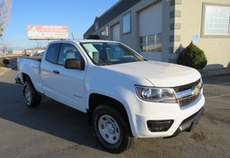 2019 Chevrolet Colorado - Image 3