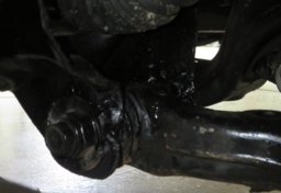 2021 Toyota Tacoma - Image 19