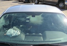 2020 Ford Mustang - Image 13