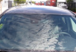 2020 Toyota Tacoma 4WD - Image 13