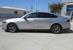 2024 Honda Accord - Image 6