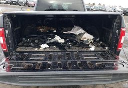 2020 Ford F-150 - Image 5