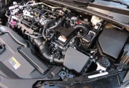 Thumbnail of 2024 Toyota Prius