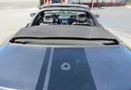 2019 Ford Mustang - Image 14