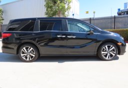 2023 Honda Odyssey - Image 7