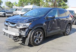 2019 Honda CR-V - Image 4