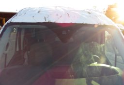 2021 Ford Transit Passenger Wagon - Image 16