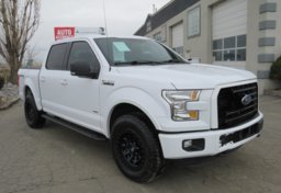 2016 Ford F-150 - Image 1