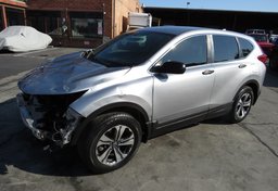 2019 Honda CR-V - Image 1