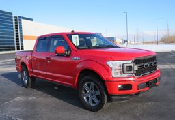 2019 Ford F-150 - Image 1
