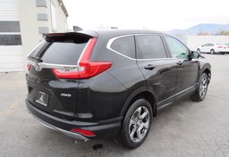 2019 Honda CR-V - Image 5