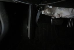 2023 Acura Integra - Image 48