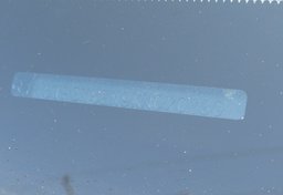 2019 Toyota Tacoma 4WD - Image 49