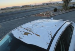 2022 Kia K5 - Image 20