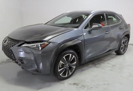 2024 Lexus UX 250h