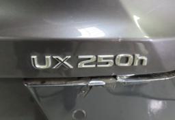 Thumbnail of 2024 Lexus UX 250h