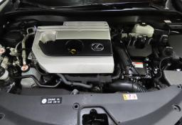 Thumbnail of 2024 Lexus UX 250h