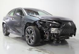 Thumbnail of 2024 Lexus UX 250h