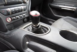 2019 Ford Mustang - Image 37