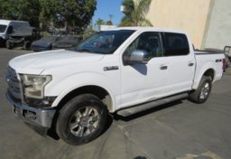 2017 Ford F-150 - Image 1