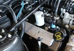 Thumbnail of 2008 Ford Shelby GT500