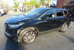 2020 Honda CR-V - Image 2