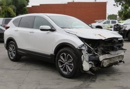 2021 Honda CR-V - Image 3