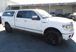 2013 Ford F-150 - Image 1