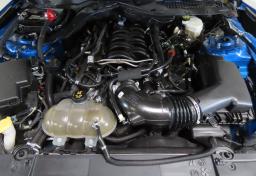 Thumbnail of 2019 Ford Mustang