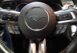 Thumbnail of 2019 Ford Mustang