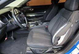 Thumbnail of 2019 Ford Mustang
