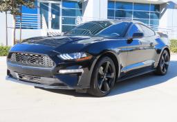 Thumbnail of 2022 Ford Mustang