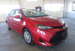 2019 Toyota Corolla - Image 4