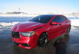 2020 Acura TLX - Image 3