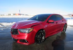 2020 Acura TLX - Image 1