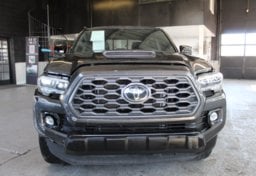 2023 Toyota Tacoma TRD Sport - Thumbnail 11