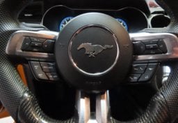 2019 Ford Mustang Premium - Thumbnail 29
