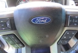 2017 Ford F-150 RAPTOR - Thumbnail 31