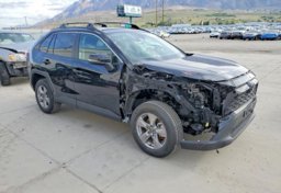 2025 Toyota RAV4 - Thumbnail 2
