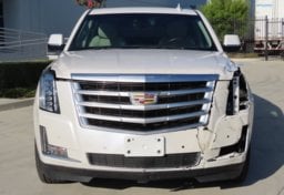2016 Cadillac Escalade ESV Premium Collection - Thumbnail 12