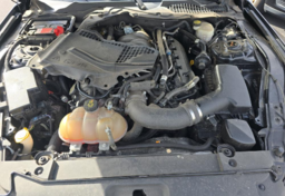 2016 Ford Mustang - Thumbnail 14