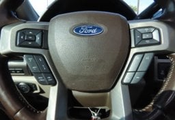 2019 Ford F-250 Super Duty Limted - Thumbnail 25