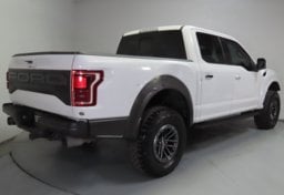 2019 Ford F-150 Raptor - Thumbnail 9