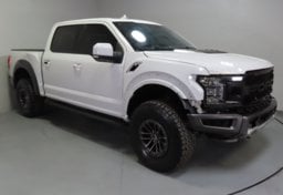 2019 Ford F-150 Raptor - Thumbnail 1