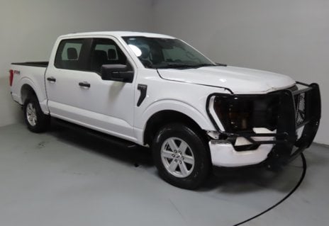 Picture of 2023 Ford F-150 XL