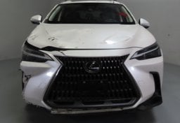 2024 Lexus NX 350h Premium - Thumbnail 12