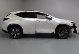2024 Lexus NX 350h Premium - Thumbnail 6