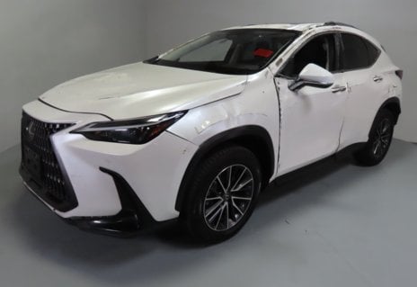 Picture of 2024 Lexus NX 350h Premium