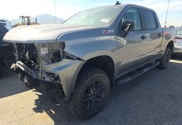 2020 Chevrolet Silverado 1500 - Thumbnail 1