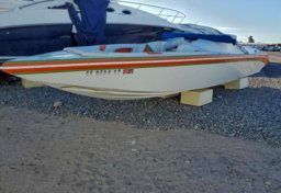 2022 25 F HAWAIIAN - Thumbnail 2